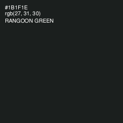 #1B1F1E - Rangoon Green Color Image